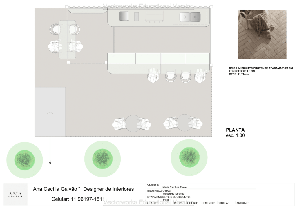 Obra de Ana Cecília Galvão Bernabé Tanigawa